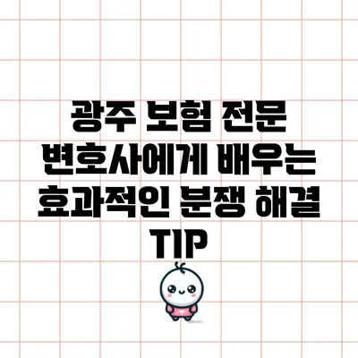 광주 보험 전문 변호사에게 배우는 효과적인 분쟁 해결 TIP