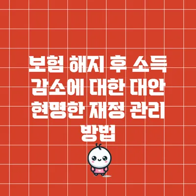 보험 해지 후 소득 감소에 대한 대안: 현명한 재정 관리 방법