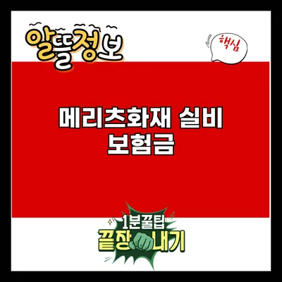 메리츠화재 실비 보험금