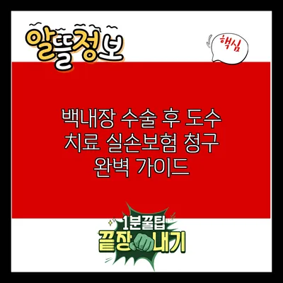 백내장 수술 후 도수 치료 실손보험 청구 완벽 가이드