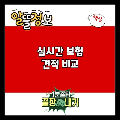 실시간 보험 견적 비교