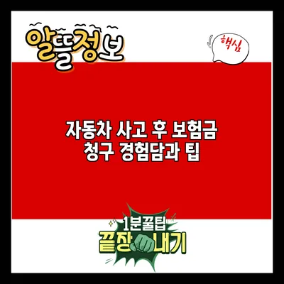 자동차 사고 후 보험금 청구 경험담과 팁