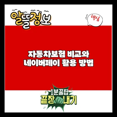 자동차보험 비교와 네이버페이 활용 방법