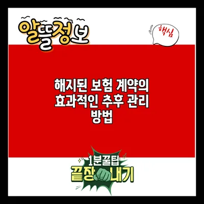 해지된 보험 계약의 효과적인 추후 관리 방법