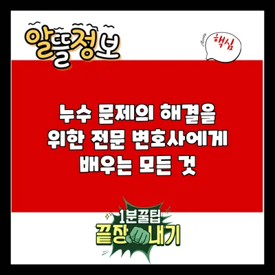 누수 문제의 해결을 위한 전문 변호사에게 배우는 모든 것