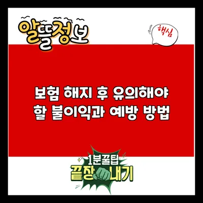 보험 해지 후 유의해야 할 불이익과 예방 방법