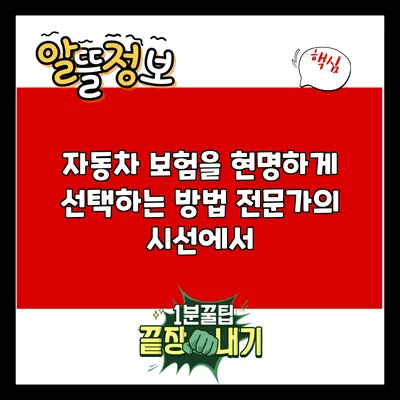 자동차 보험을 현명하게 선택하는 방법: 전문가의 시선에서