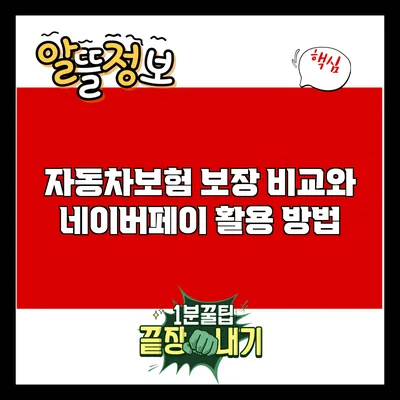 자동차보험 보장 비교와 네이버페이 활용 방법