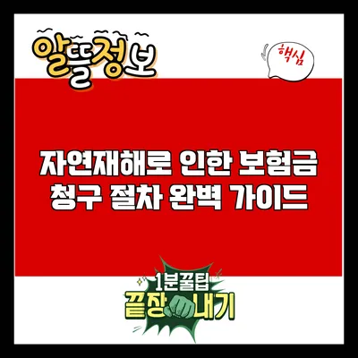 자연재해로 인한 보험금 청구 절차 완벽 가이드