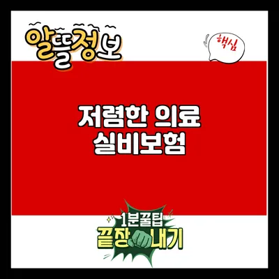 저렴한 의료 실비보험