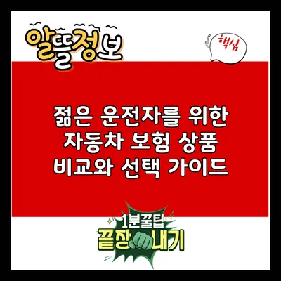 젊은 운전자를 위한 자동차 보험 상품 비교와 선택 가이드