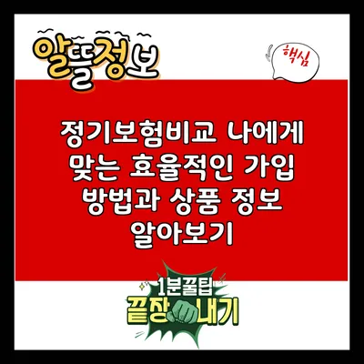 정기보험비교: 나에게 맞는 효율적인 가입 방법과 상품 정보 알아보기