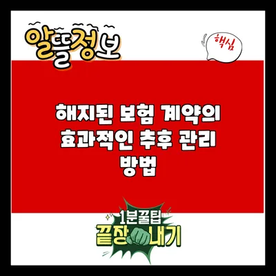해지된 보험 계약의 효과적인 추후 관리 방법
